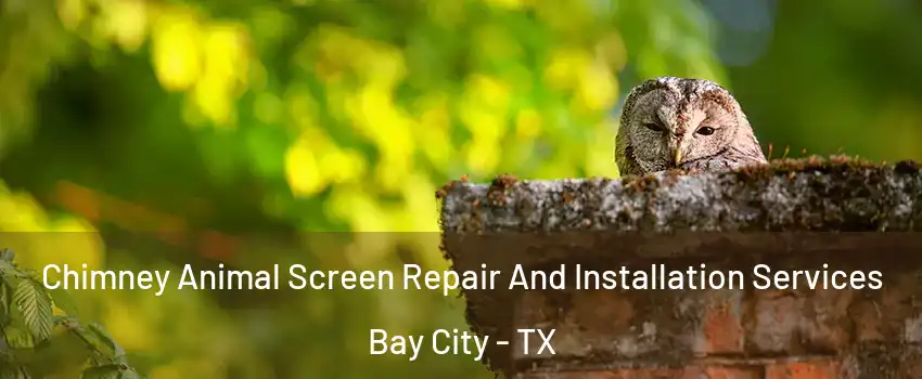  Chimney Animal Screen Repair And Installation Services Bay City - TX