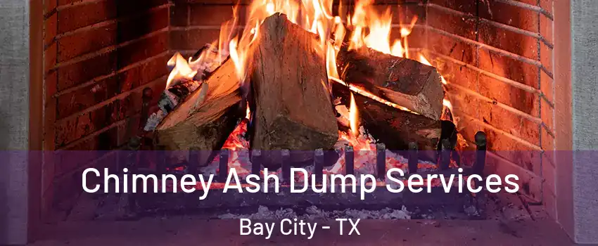  Chimney Ash Dump Services Bay City - TX
