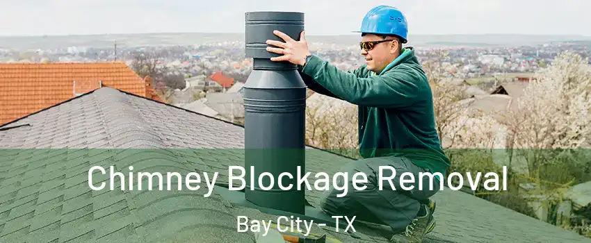  Chimney Blockage Removal Bay City - TX