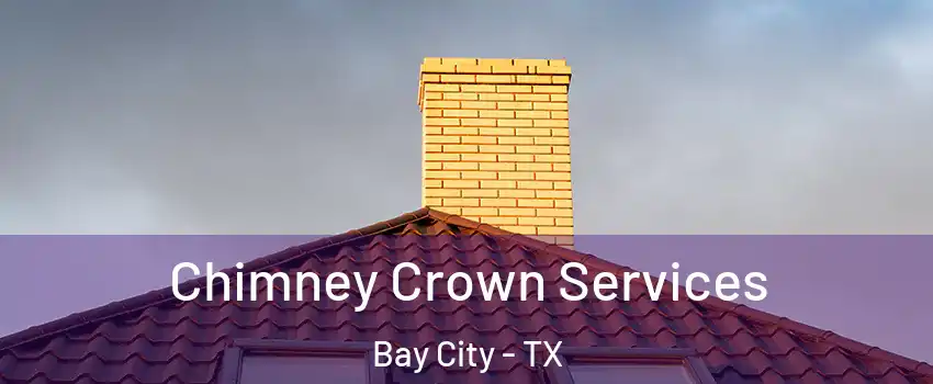  Chimney Crown Services Bay City - TX
