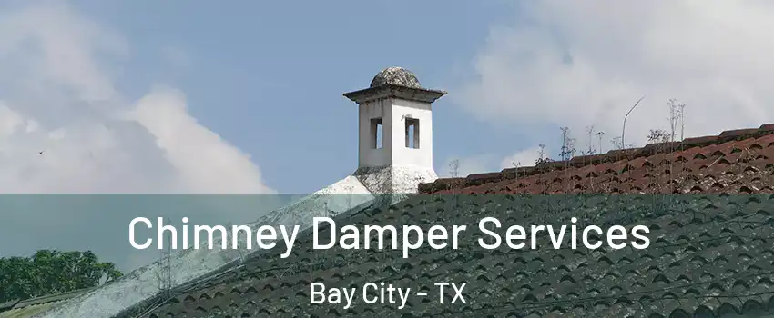  Chimney Damper Services Bay City - TX