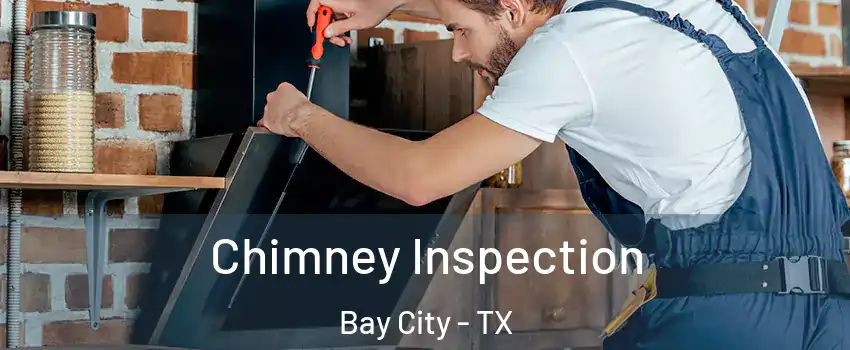  Chimney Inspection Bay City - TX
