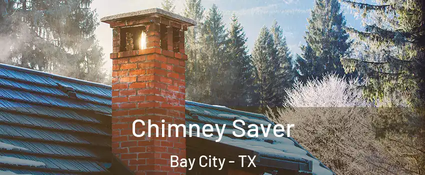  Chimney Saver Bay City - TX