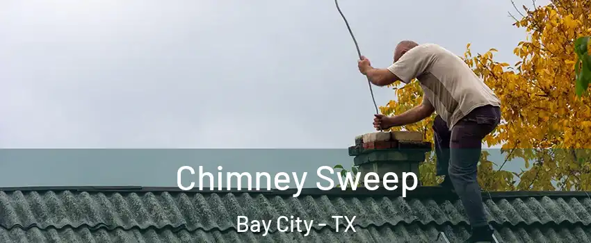  Chimney Sweep Bay City - TX