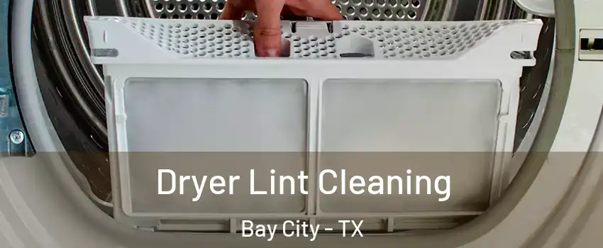  Dryer Lint Cleaning Bay City - TX