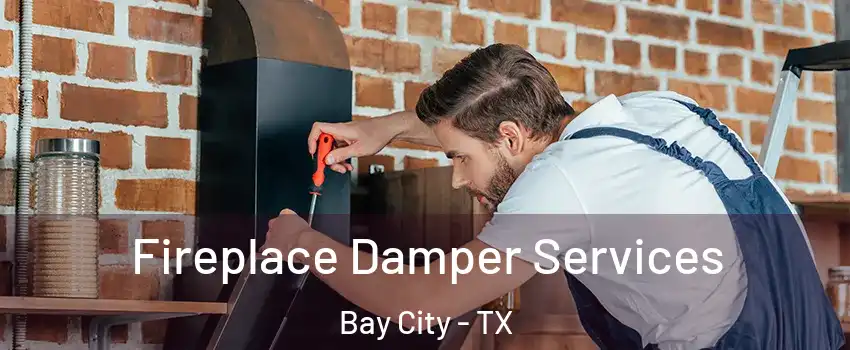  Fireplace Damper Services Bay City - TX
