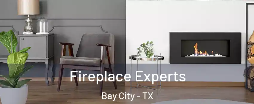  Fireplace Experts Bay City - TX