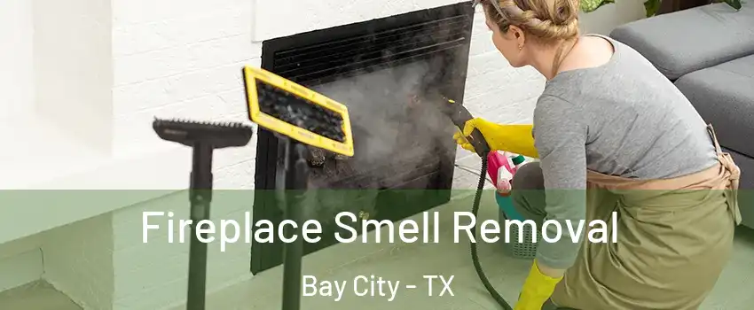  Fireplace Smell Removal Bay City - TX
