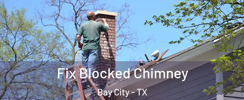  Fix Blocked Chimney Bay City - TX