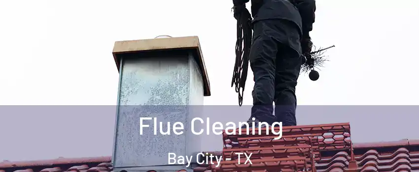  Flue Cleaning Bay City - TX