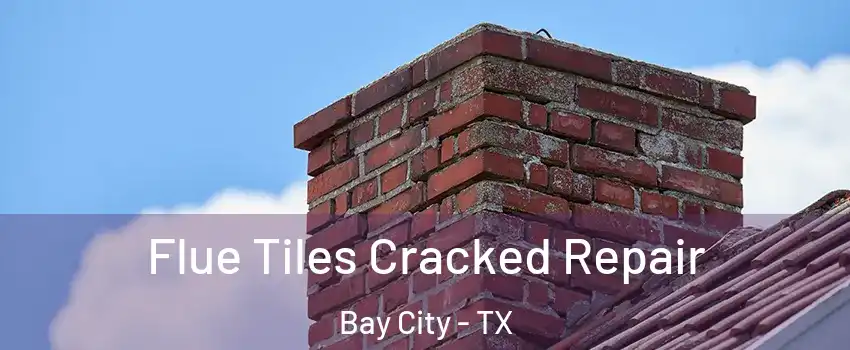  Flue Tiles Cracked Repair Bay City - TX
