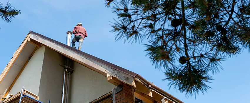 Birds Removal Contractors from Chimney in Bay City, TX