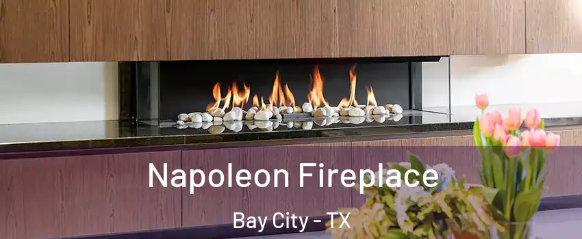  Napoleon Fireplace Bay City - TX
