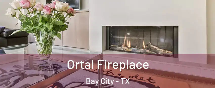  Ortal Fireplace Bay City - TX